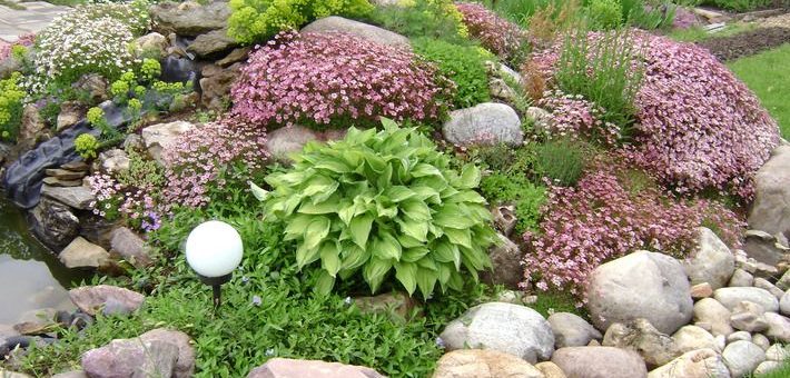 Альпийская горка своими руками пошаговая инструкция фото – Альпийская горка своими руками -пошаговое фото, какие растения нужны, для начинающих, как сделать, оформление