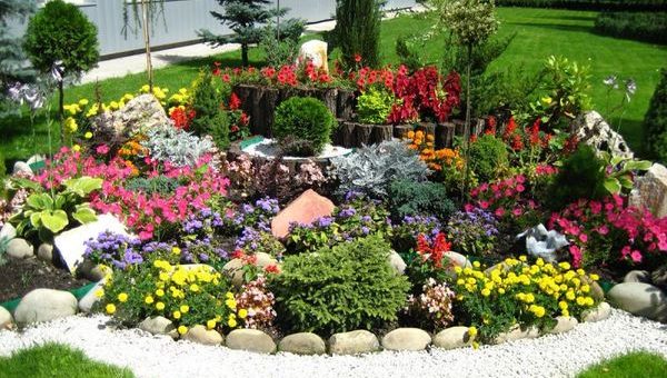 Альпийская горка своими руками пошаговое фото с цветами маленькая – Альпийская горка своими руками -пошаговое фото, какие растения нужны, для начинающих, как сделать, оформление