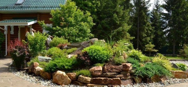 Альпийская горка своими руками видео – Что такое альпийская горка, как её построить – пошаговая инструкция с фото и описаниями