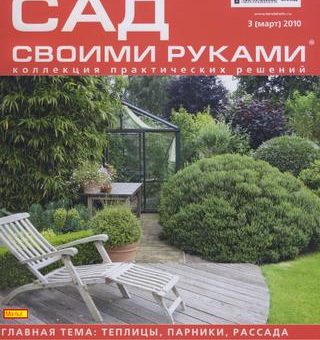 Бегония цевека – фото и как за ним ухаживать, размножение, почему не цветет, виды (в том числе вечноцветущая) и их особенности