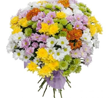 Букет хризантемы желтые фото – Хризантема кустовая. Каталог кустовых хризантем с фото. Купить букет из хризантем с доставкой.