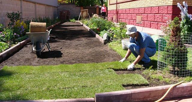 Что такое рулонный газон – Рулонный газон на участке, что это такое, как правильно выбрать рулонный газон, как правильно его застелить, уход за рулонным газоном