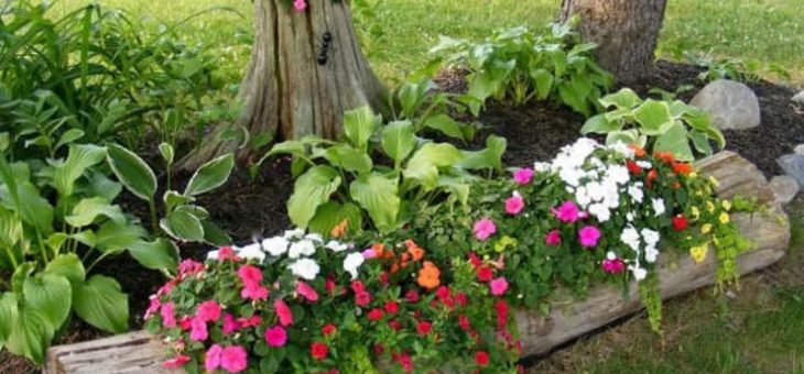 Цветочные клумбы на даче своими руками – Цветники и красивые клумбы на даче своими руками: советы для начинающих, идеи и фото для опытных садоводов