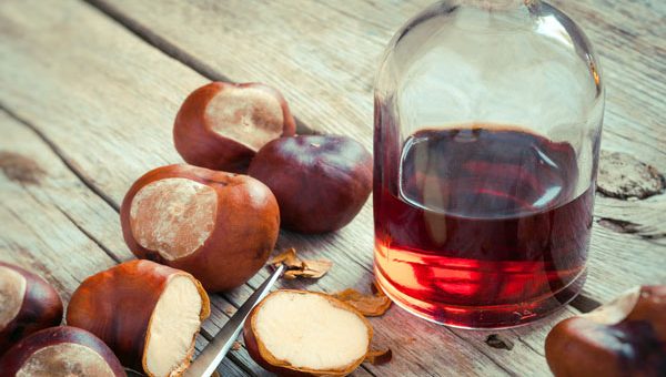 Цветы из каштанов – НАСТОЙКА ИЗ ЦВЕТКОВ КАШТАНА НА ВОДКЕ ПРИМЕНЕНИЕ: Настойка каштана на водке — польза, вред, рецепты, рекомендации