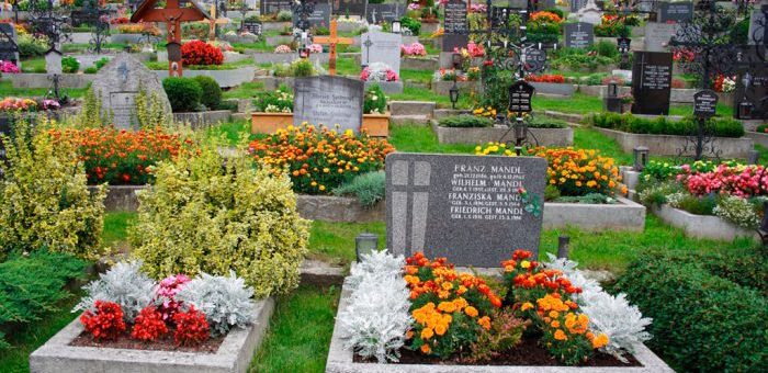 Цветы многолетники для кладбища неприхотливые долгоцветущие – Какие растения посадить на кладбище? Какие цветы посадить на могилу, деревья и кустарники?