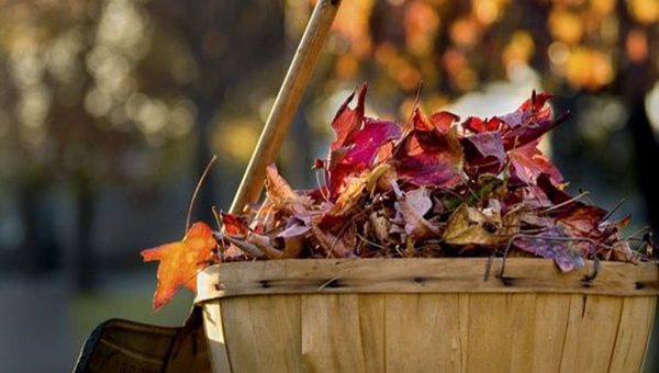 Декор комнаты своими руками на осень – Украшаем дом к осени — лучшие идеи осеннего декора – Ярмарка Мастеров