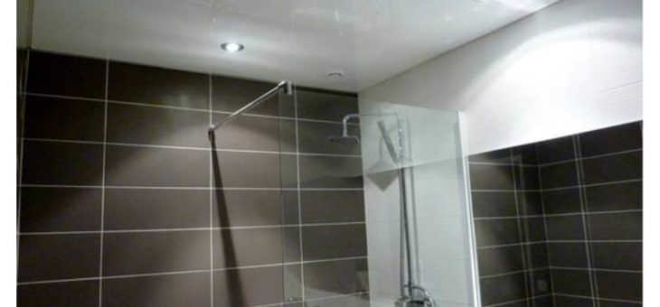 Делают ли натяжной потолок в ванной комнате – плюсы и минусы, можно ли делать глянцевый вариант в ванной комнате, отзывы