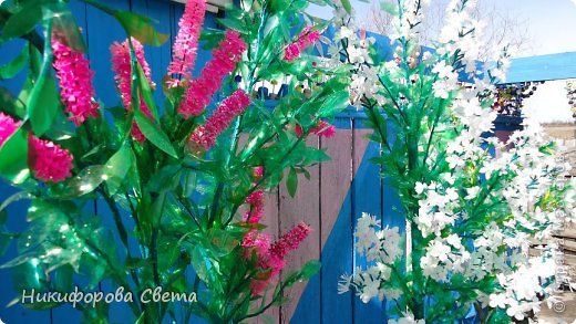 Деревья из бутылок пластиковых – Поделки «Деревья и цветы» из пластиковых бутылок, бросового материала. — Поделки для сада — Поделки для сада, огорода — Каталог статей