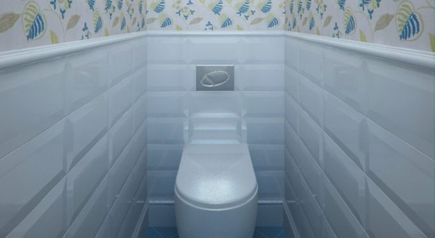 Дизайн интерьера туалета и ванны – Современные идеи дизайна туалета 2018 (61 фото): как оформить маленький туалет