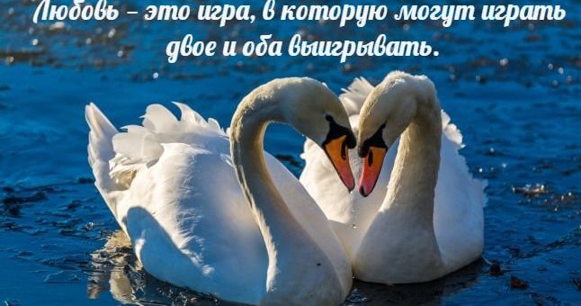 Для коханого картинки – Картинки, открытки, анимация От девушки — парню, со стихами, цитатами, о любви, скачать бесплатно