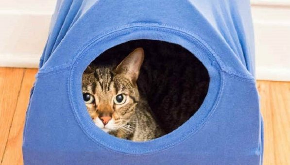 Дом для кота своими руками из футболки – Как сделать домик для кошки из футболки, пары проволочных вешалок и подушки
