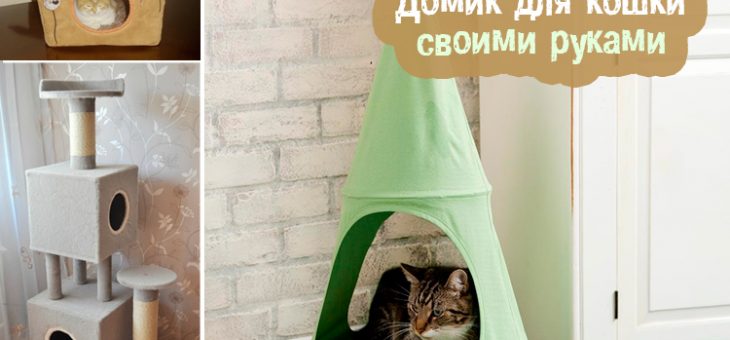 Дома для кошек – Домик для кошки своими руками пошаговая инструкция с фото