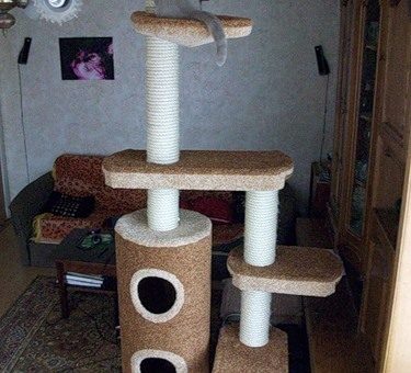 Домик для кошки картинки