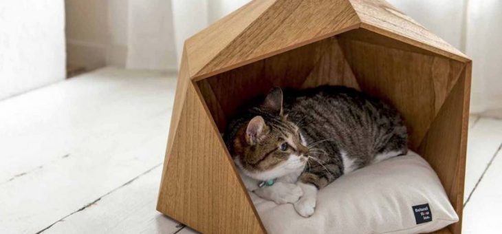 Домик для кошки оригинальный – как обустроить место для кошки в доме. Виды, конструкции и дизайн домиков для кошек. Оригинальные кошачьи домики