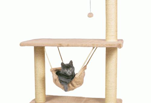 Домик для котят