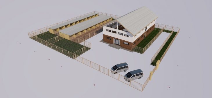 Домик двухэтажный для кошки – Двухэтажный дом для кошек и 16 вольеров для собак строят волонтеры в пригороде Владивостока (ФОТО) – Новости Владивостока на VL.ru