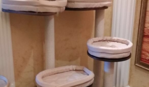 Домики для кошек из дерева – Каждой кошке жизненно необходимо движение. Закажите домик или комплекс для кошек, защитите свою мебель и увеличте продолжительность жизни своего любимца на несколько лет.