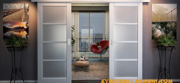 Дверь сдвижная межкомнатная – сдвижные межкомнатные двери: плюсы и минусы одностворчатых, двустворчатых, стеклянных, гармошки, книжки, поворотно сдвижных и пенальных дверей