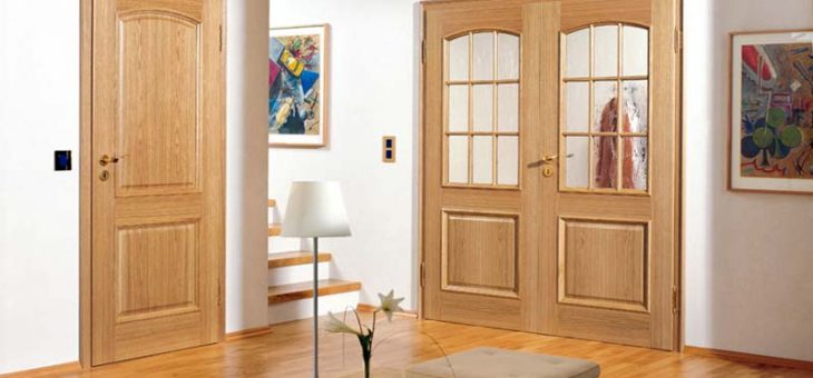 Дверь в зал двойная – Как выбрать дверь в зал: особенности и рекомендации (27 фото): двухстворчатые и двойные межкомнатные двери для проходной комнаты, модели для гостиной с тремя дверями