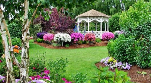 Фото дачный сад – Идеи для сада и дачи. Красивые фото | Форум о цветах и комнатных растениях