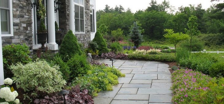 Фото дизайн ландшафта возле дома – как сделать декор территории таунхауса хвойными растениями своими руками, дизайнерские решения для ландшафта