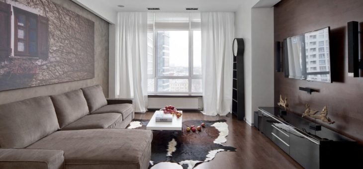 Фото гостиная в однокомнатной квартире фото