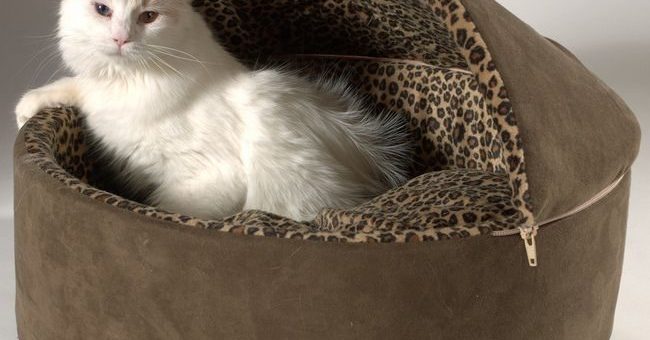 Фото лежанки для кошек – Как сделать (сшить) лежанку для кошек своими руками: фото, видео, выкройка, пошаговый мастер