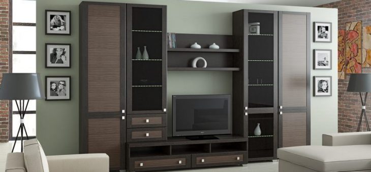 Фото мини стенка в зал – красивая мебель в зал, мебельные шкафы из гипсокартона, встроенные модели с комодом, вместительные подвесные варианты