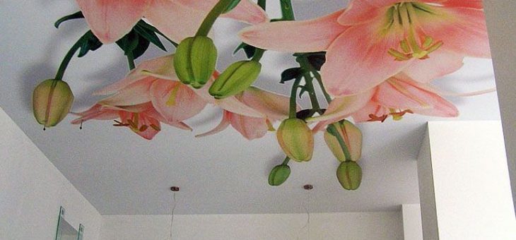 Фото натяжные потолки из ткани – Плюсы и минусы тканевых натяжных потолков, отзывы специалистов. Выбирай лучшие варианты из фотогалереи!