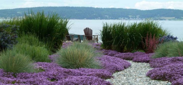 Фото приусадебных участков – Дюжина вариантов ландшафтного дизайна и оформления приусадебных участков