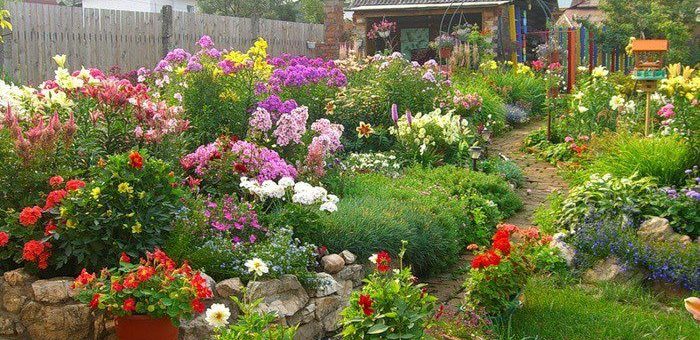 Фото с названиями цветущих кустарников – Каталог многолетних цветов для дачи: фото с названиями растений