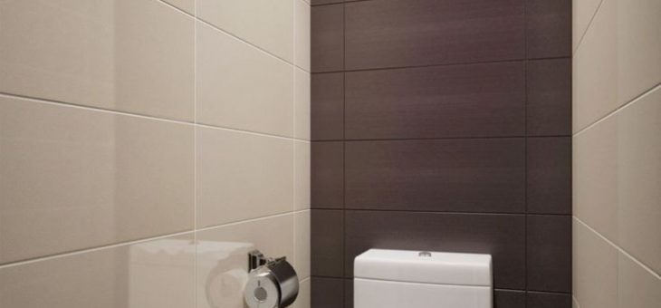 Фото туалет ремонт