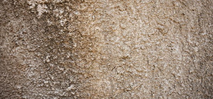 Фото художественная штукатурка