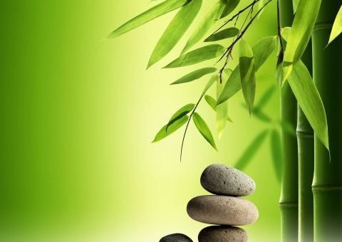 Фотообои бамбук