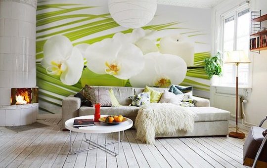 Фотообои под обои – МИР ФОТООБОЕВ, обои для стен, купить на заказ, изготовление, каталог, интернет-магазин фотообоев на потолок — изготовление фотообоев