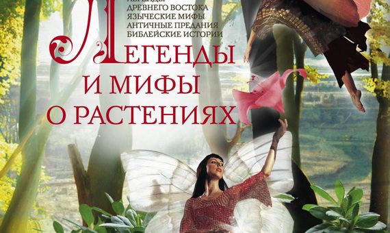 Гортензия цветок что означает – Гортензия. Легенды и мифы о растениях [Легенды Древнего Востока, языческие мифы, античные предания, библейские истории]