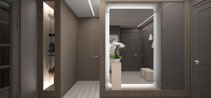 Интерьер прихожей со шкафом купе фото – Шкаф-купе в прихожую — идеи дизайна (55 фото): проект интерьера фасада прихожей со шкафом внутри