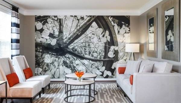 Интерьеры фото с фотообоями