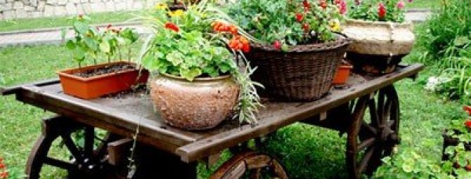 Изделия для сада фото – Декоративные украшения для сада своими руками: подборка из 18 интересных идей — каталог статей на сайте