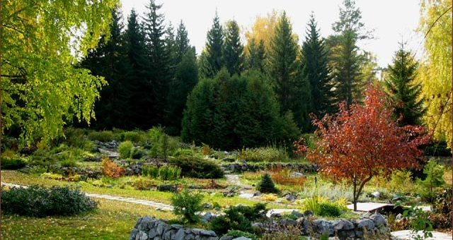 Как благоустроить дачный участок своими руками – Благоустройство дачного участка своими руками 🚩 как благоустроить дачный участок своими руками 🚩 Ландшафтный дизайн