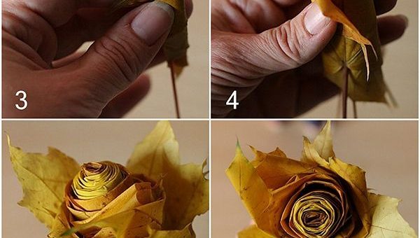 Как делать из кленовых листьев цветы – Как сделать цветы из кленовых листьев своими руками: пошаговая инструкция