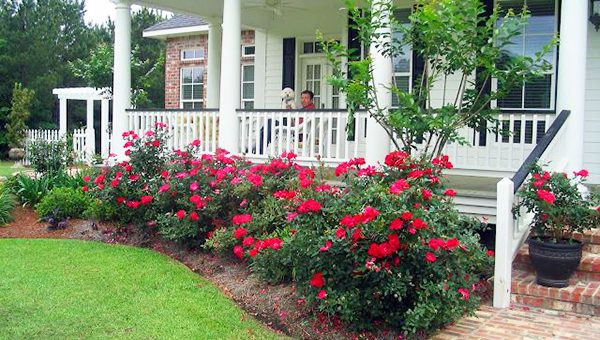 Как оформить вход в загородный дом – популярные стили, стародачный, бревенчатый, коттеджный, минимализм, модерн, характерные черты, советы, выбор растений