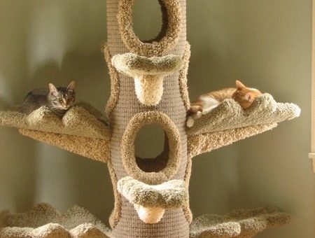 Как сделать кошкин дом своими руками