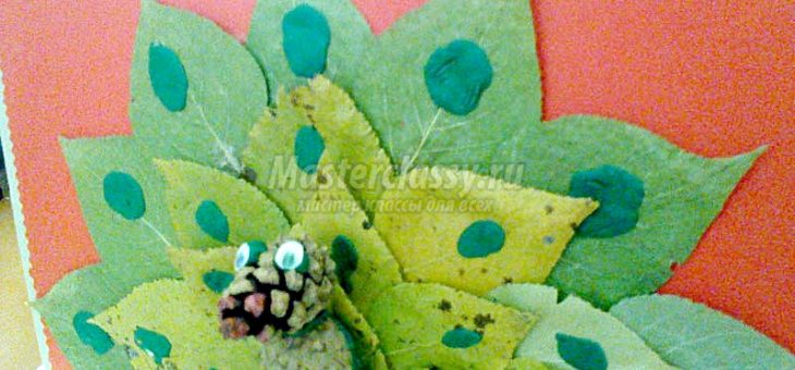 Как сделать павлина из листьев фото – Поделки из природного материала Павлин Мастер класс с пошаговым фото