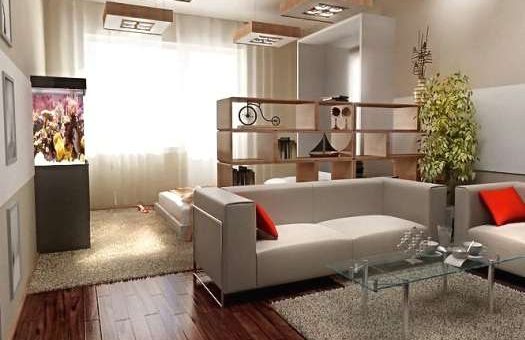 Как сделать спальню и зал в одной комнате фото