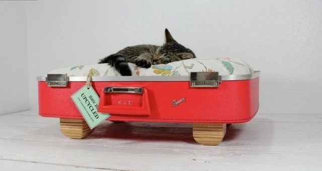 Как сделать своими руками домик для кошки из подручных материалов – Как сделать домик для кошки своими руками из подручных средств / Дом и сад / SkillVille