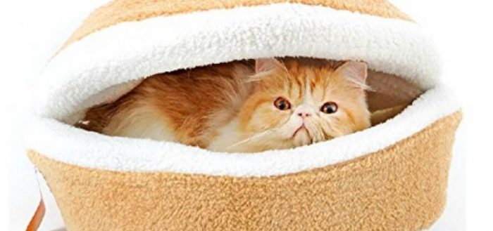 Как сделать своими руками кровать для кошки – выкройки и пошаговые инструкции по изготовлению лежака для кота, как сделать его быстро и просто