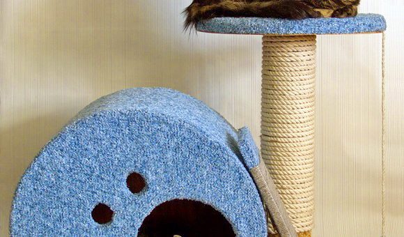 Как сделать своими руками место для кошки – варианты конструкции, из коробки, гофрокартона, как в магазине, необходимые материалы, пошаговая инструкция