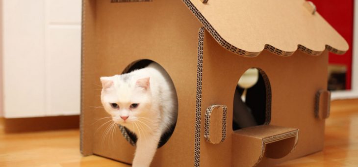 Как сделать теплый домик для кошки – варианты конструкции, из коробки, гофрокартона, как в магазине, необходимые материалы, пошаговая инструкция