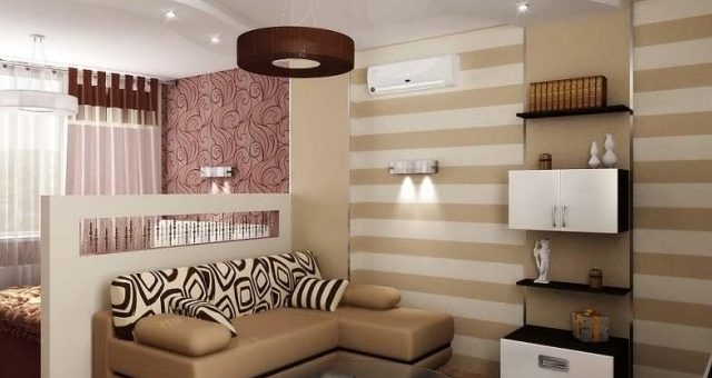 Как сделать в однокомнатной квартире спальню и гостиную фото